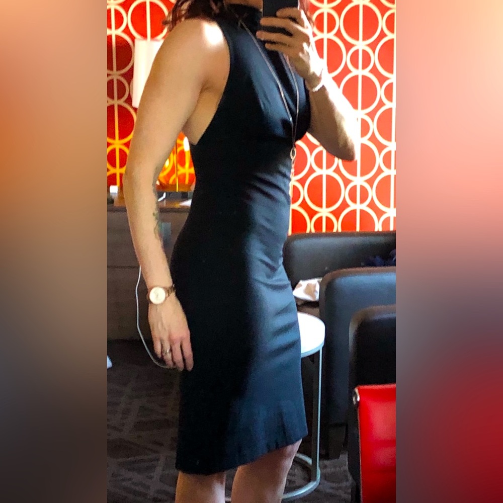 Aritzia Babaton black bodycon dress